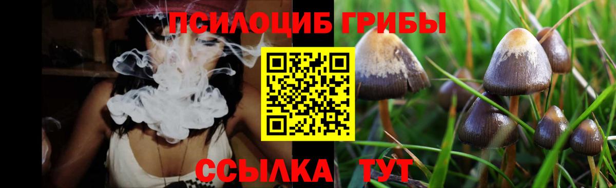 Белая Калитва  Галлюциногенные грибы MAGIC MUSHROOMS  Вход с VPN 
